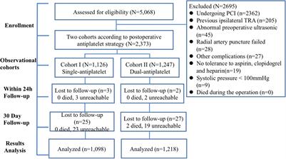 Different Antiplatelet Strategies for Radial Artery Protection After Transradial Coronary Angiography—A Prospective Observational Cohort Study